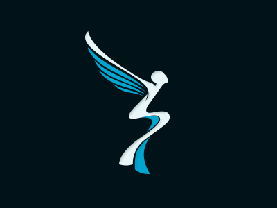 Strom Aviation airplane aviation fly logo pilot s superhero wings