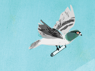 Pigeon with a Purpose carrier pigeon digital fly goggles paint pigeon printmaking purpose texture