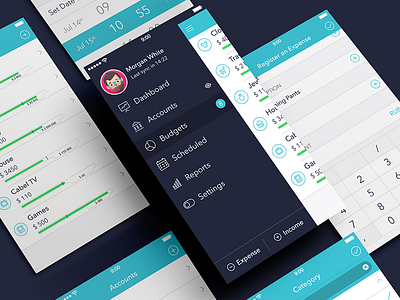 Finance iPhone App [New palette] app budgets finance ios7 ipad iphone secret ui