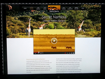 Web redesign in progress namibia nature website