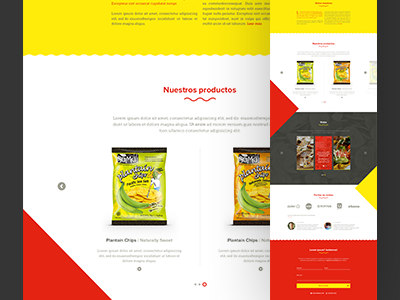 HyA Snacks flat interface landing ui web website
