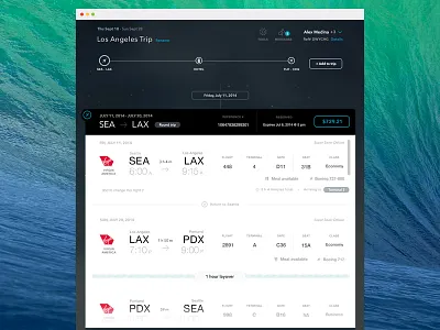 Flight Details - Trip Timeline clean details flight gradient itinerary night summary timeline travel ui web