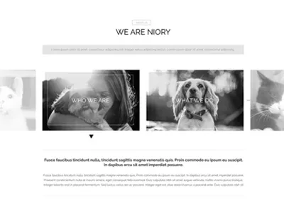 Niory theme version 4 uiux web design