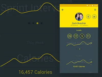 Workout Profile Concept android android l chart design exercise graph l material material design profile workout