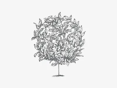 VAN DE PUT atrokhau botanical crisp floral form gray initial lettering logo logotype typo typography