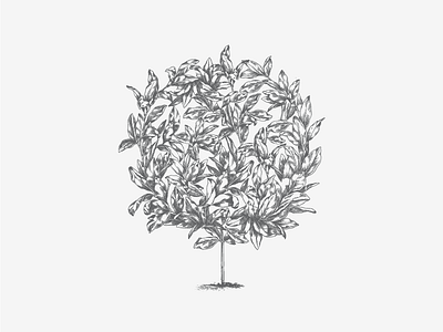 VAN DE PUT atrokhau botanical crisp floral form gray initial lettering logo logotype typo typography