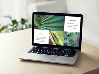 Rainforest clean grid logicart photography rainforest simple typography ui