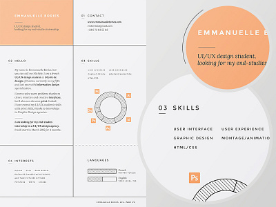 Personal resume cv print resume self promotion