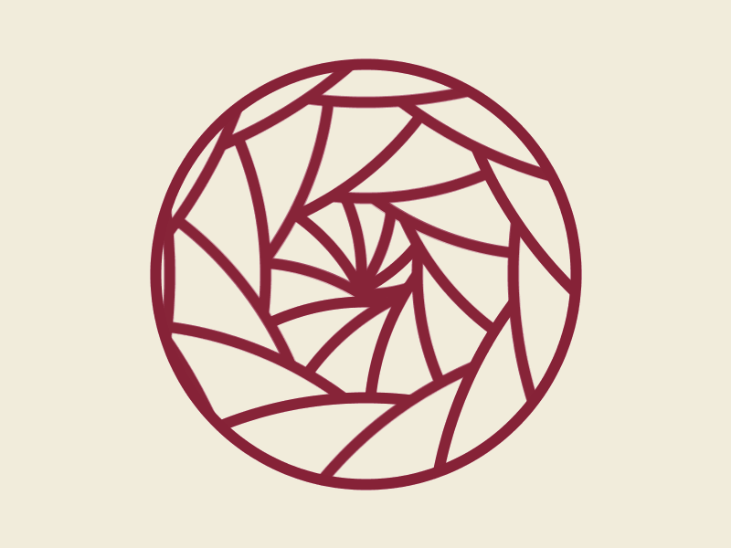 Shell Spiral geometry gif processing