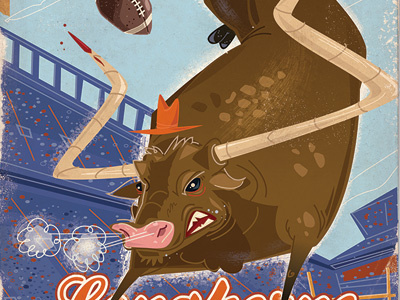 Texas animals bull college football longhorns sports texas