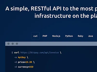 Developers | BitPay api bash bitcoin bitpay cryptocurrency developers finance terminal website