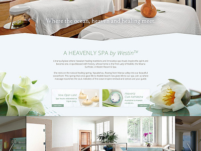 Spa spa website