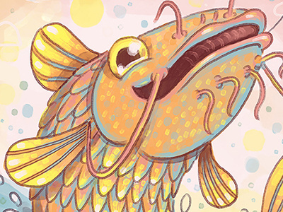 fish
