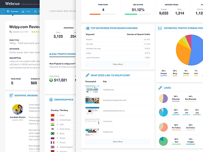 Website Review & Analysis Report datagrid graphs interaction design user experience user interface visual design web app web application web layout web tool website analysis website widgets