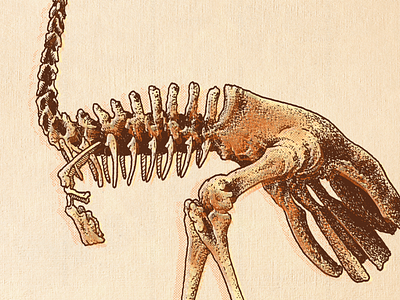 Elephant Bird #2 bird bones elephant bird ink micron skeleton sketch sketchbook wip