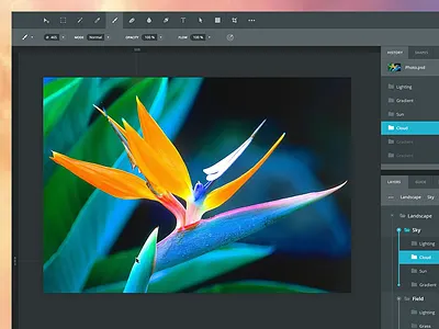 Photoshop redesign adobe clean dark flat flower history layers photoshop redesign simple sketch yosemite