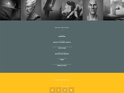 Smash theme profile page bonfire themes clean colorful contact form flat gallery profile responsive smash social wordpress wp