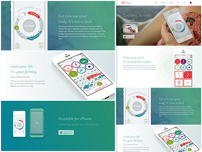 Clue App Page clue responsive webdesign website