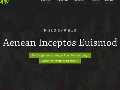Interactive Homepage Proof of Concept cure dark demo transforms