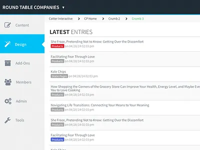 ExpressionEngine® Control Panel cp dazzle thunder design eecms ux