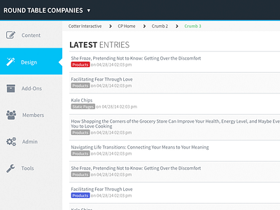 ExpressionEngine® Control Panel cp dazzle thunder design eecms ux