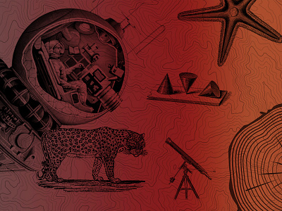 Quora collage image app astronaut cheetah collage contour etching gradient ios map red science vintage