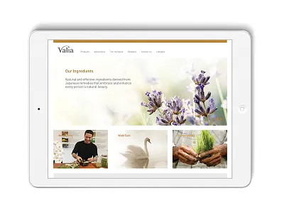 Valia Skincare Website gold skincare valia website