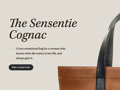 Revisiting Homepage bags homepage omm webdesign