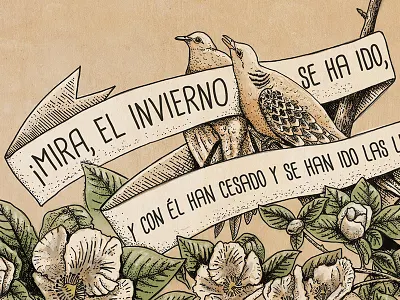 Song Of Solomon 2-11 - Spanish banner bible birds branch flower hand drawn illustration logos bible software scripture typography watercolor