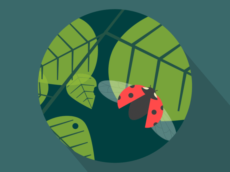 Eden Shorts 2d after effects animation butterflies deer desert frog gif ladybird leaves trees