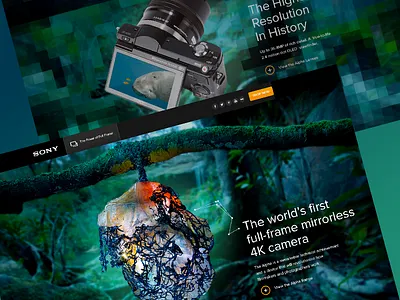 Sony Alpha camera colour nature particle website