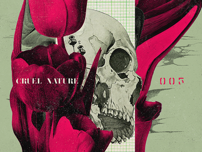 CN005 abstract art collage floral paper skull texture