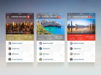 Turkish Airlines Main Screen airline booking city custom flight ios iphone map photo price status