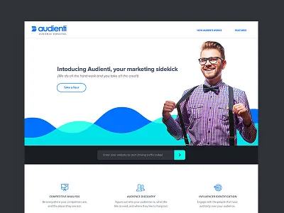 Audienti Landing Page button cta curve flat icons landing line chart marketing newsletter product web app