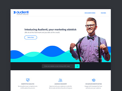 Audienti Landing Page button cta curve flat icons landing line chart marketing newsletter product web app