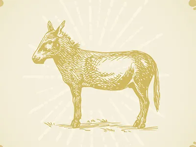 Paydirt Wines, Label Design design graphic