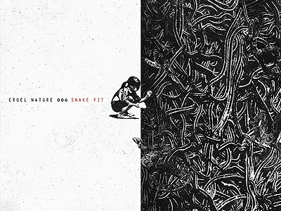 CN album artwork cd collage cover experimental layout print wip