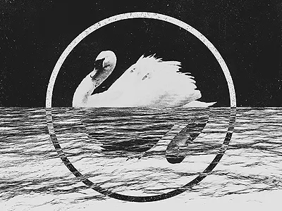 CN014 abstract art collage floral paper skull texture