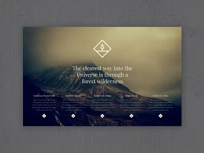 EVER WONDER™ // LAND branding forest green grid icon iconography icons logo mountains texture vector web