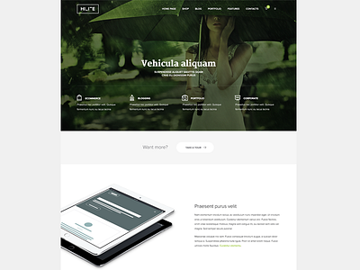 Home page theme wordpress