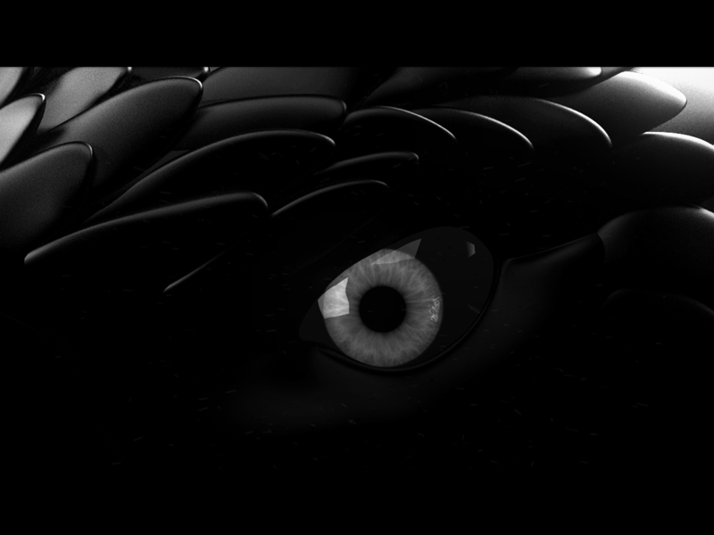 Eagle animation 3d after effects animation cinema 4d eagle gif openning photoshop rigging vray