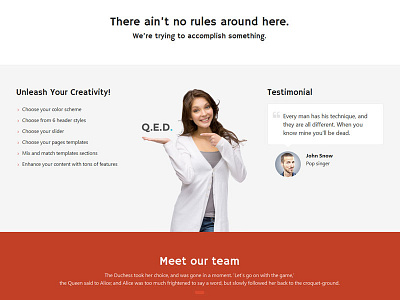 Qed website template corporate layout little neko template web website website template