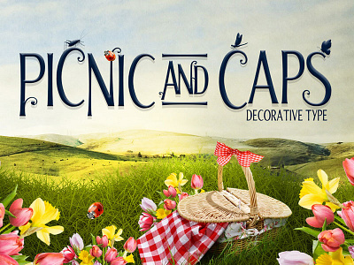 Picnic Caps Font caps decorative design floral font optimist picnic slab serif swirls titles typography uppercase