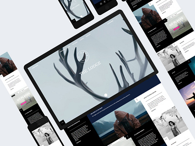 Camp David The Lodge 2014 bespoke blocks design fabrik mobile portfolio responsive tablet template ui website