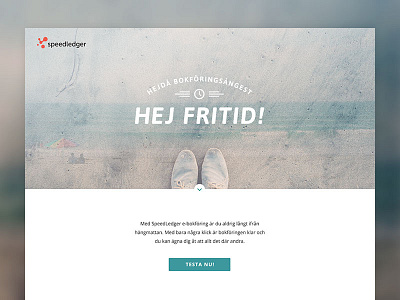 SpeedLedger Landing Page big header landing page layout speedledger web webdesign website whitespace