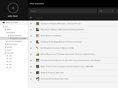 Page Manager cms ui