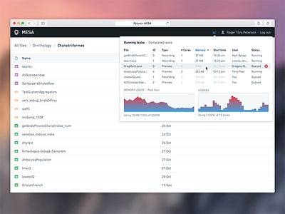 Palantir Mesa activity monitor in context app dashboard interface table ui user experience user interface ux web application