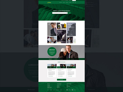 Johnsons Cleaners Homepage clean concept flat homepage modular search