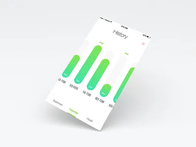 Income History budget finances income incomes spender