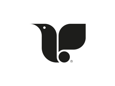Koolibri bird black colibri cute hummingbird minimal sweet white